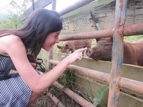 Happy pigs and guest at Meadow Green Farm in Sperryville, Virginia